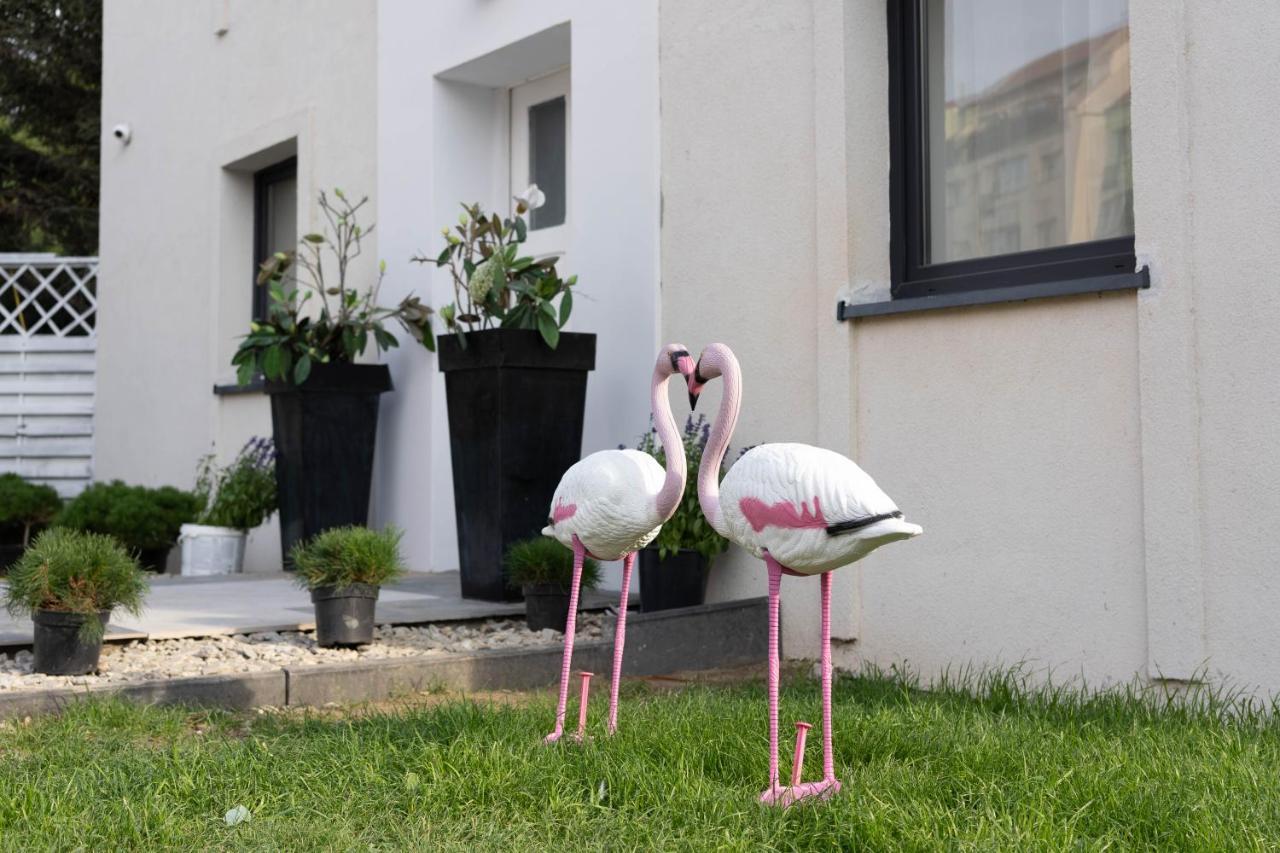מלון קמיאן פומורסקי Marina House מראה חיצוני תמונה
